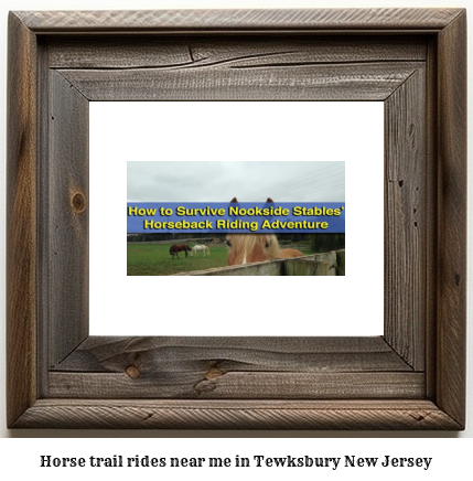 horse trail rides near me in Tewksbury, New Jersey